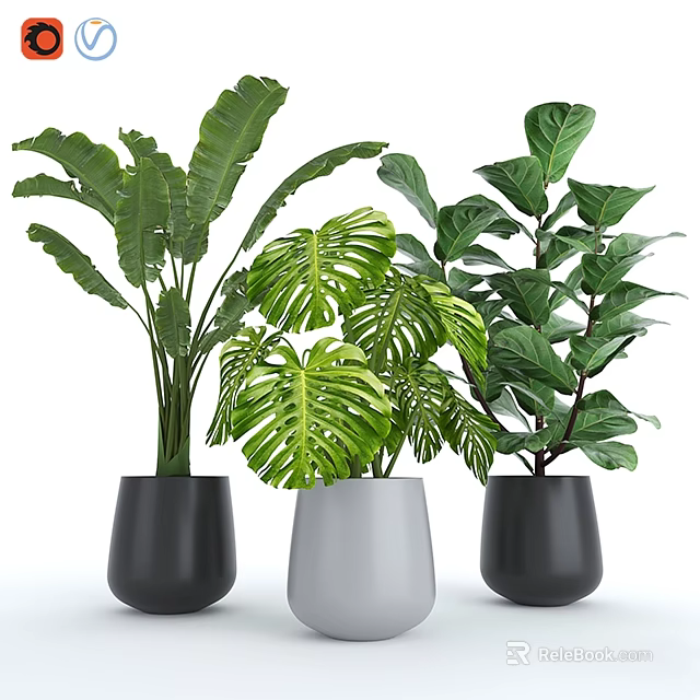 Modern Decorative Ornament Set With Green Leaf Plants In Black White Planters 3d model 