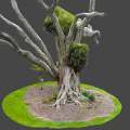 Majestic Wooden Tree Trunk Featuring Exposed Roots And Lush Green Ferns On Grassy Ground