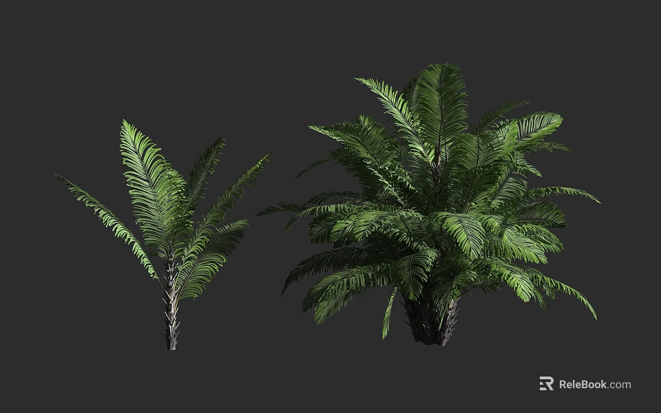 Arbor With Feathery Green Leaves In Different Sizes And Lush Tropical Look 3d model 