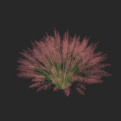 Modern pink garble grass 3d model
