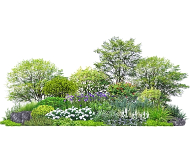 Plant combination landscape shrub plant community plant group flower border plant group ornamental flowers and plants 3d model