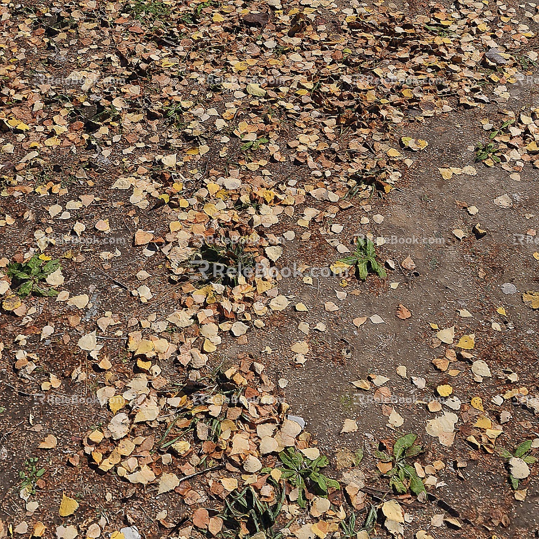 modern autumn deciduous dry grass 3d model