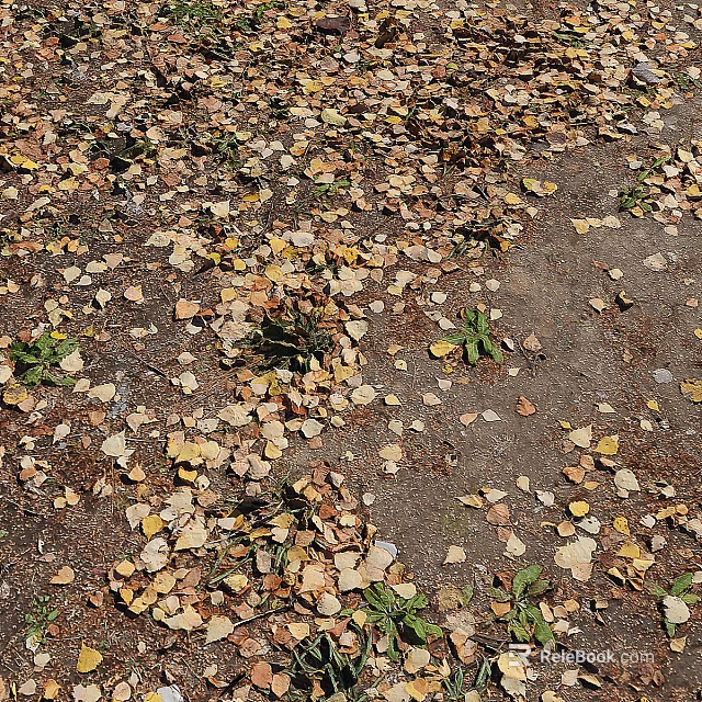Natural Ground Cover With Fallen Yellow Brown Leaves And Small Green Plants 3d model 