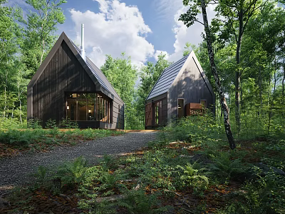 Modern Detached House Exterior In Forest With Greenery And Gravel Driveway 3d model