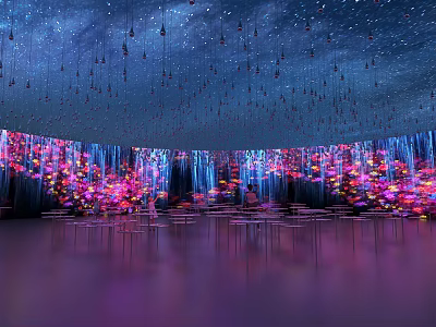 Immersive Art Installation With Starry Ceiling Colorful Light Curtains And Reflective Floor 3d model