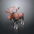 Detailed Brown Moose Sculpture With Large Antlers Standing On Dark Surface