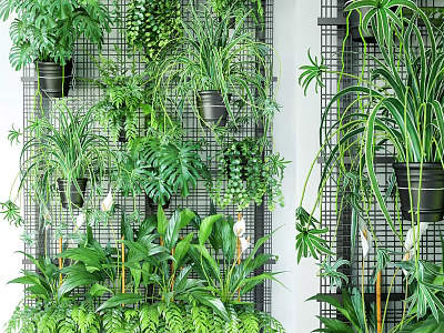 Living Plant Wall Design With Various Green Foliage And Hanging Potted Plants 3d model