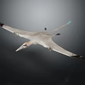 Flying Pterosaur With Extended Wings Long Beak And Blue Tip Tail Soaring Through Sky