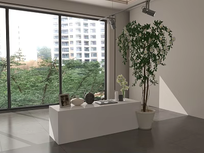 Modern Interior With Large Windows White Console Table Decorative Items And Tall Green Plant 3d model