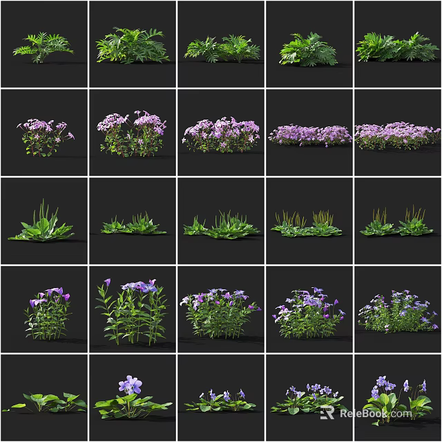 Various Colorful Flowers And Green Plants In Grid Pattern Display Collection 3d model 