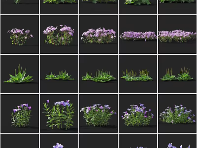 Various Colorful Flowers And Green Plants In Grid Pattern Display Collection 3d model