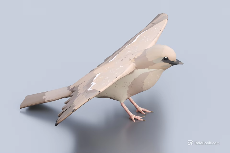 Realistic 3D Model Bird With Spread Wings Standing On Gray Surface 3d model 