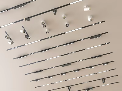 Multiple Track Mounted Downlights And Spotlights On Ceiling For Modern Interior 3d model