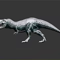 Transparent Dinosaur Skeleton Model With Realistic Anatomical Detail And Clear Structure