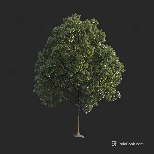 Single Lush Green Tree With Dense Foliage Strong Trunk And Branches 3d model
