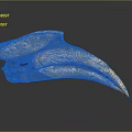 Prehistoric Flying Animal Skull with Large Beak and Textured Surface on Dark Background