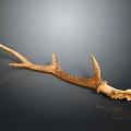 Natural Deer Antler With Brown Texture And Shiny Surface On Black Background 3d model