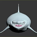 White Shark 3D Model with Open Mouth Sharp Teeth on Dark Background with Reflective Surface 3d model