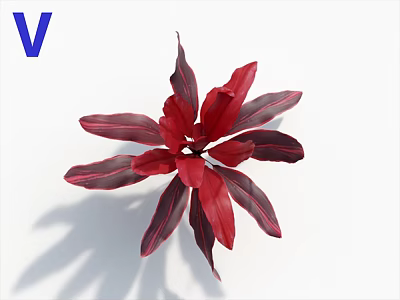 Vibrant Red And Purple Variegated Leaves Display On White Background With Soft Shadow 3d model