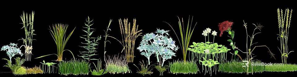 Different Types Of Garden Plants Flowers With Green Leaves Blue Blooms And Tall Grasses 3d model 