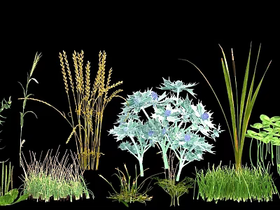 Different Types Of Garden Plants Flowers With Green Leaves Blue Blooms And Tall Grasses 3d model