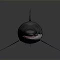 Realistic 3D Model of Grey Shark with Sharp Fins and Sleek Body