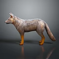 Standing Gray Fox Model With Detailed Textured Coat Brown Legs And Shiny Reflection