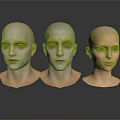 Three Hairless Human Head Models With Detailed Facial Organs And Features