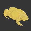 Educational Reptile Anatomical Model With Transparent View Of Internal Organs And Skeleton