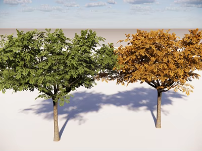 Modern Landscape Trees Courtyard Trees Tall Trees Landscape Trees Courtyard Trees Tall Plants Trees Green Trees Arbor Trees Big Trees 3d model
