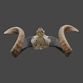 Detailed Ram Skull With Large Curved Horns Isolated On Black Background