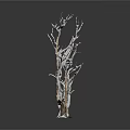 Leafless Plant Branches With Various Colors On White Background And White Bases 3d model