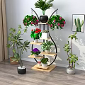 Indoor Bonsai Plants Display On Multi Tiered Stand With Hanging Flowers And Greenery