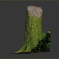 Natural Wooden Stump Covered With Green Moss And Surrounding Shrubs On Soil Base