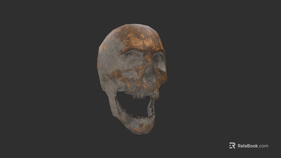 Rusted Metal Skull Sculpture With Detailed Carving Weathered Texture And Grayed Brown Surface 3d model 