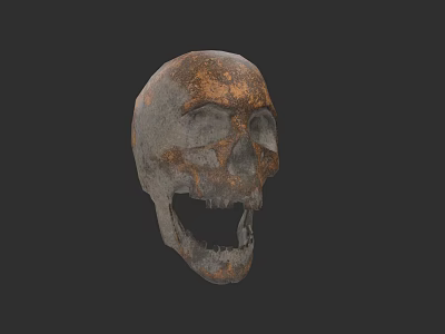 Rusted Metal Skull Sculpture With Detailed Carving Weathered Texture And Grayed Brown Surface 3d model
