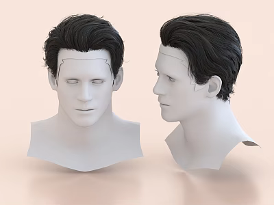 White Human Head Models Decorative Ornament Set With Black Hair And Front Side Views 3d model
