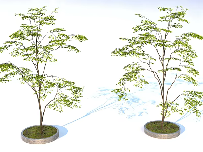 Two Green Leafy Trees Standing on Circular Stone Bases With Grass 3d model