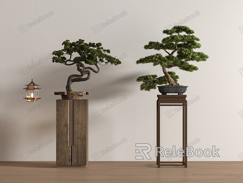 New Chinese Pine Bonsai model