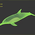 Dolphin 3D Model With Black And White Body In Swimming Pose On Gray Background