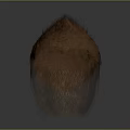 Realistic Head Organ Structure With Brown Hair On Transparent