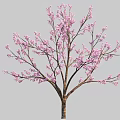 Decorative Pink Blossom Tree With Brown Trunk And Lush Branches