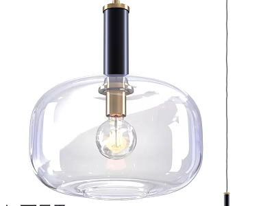 Modern Transparent Glass Shade Pendant Light With Black Gold Accents And Bulb 3d model