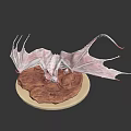 White Mythical Dragon Game Movie Character With Large Wings Standing On Rocky Terrain