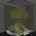 Plant landscape landscaping courtyard sketch plant combination 3d model