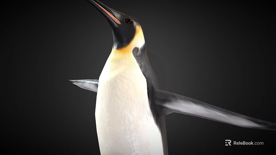 Emperor Penguin With Yellow Neck Black White Plumage And Spread Wings 3d model 