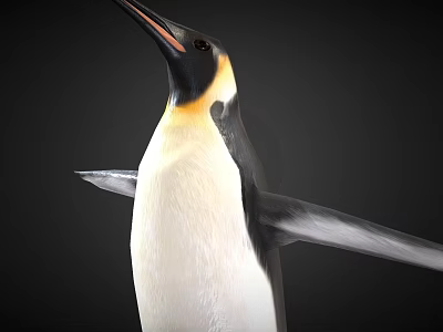 Emperor Penguin With Yellow Neck Black White Plumage And Spread Wings 3d model