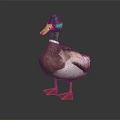 Green Headed Duck with Yellow Beak Brown White Feathers Orange Feet on Dark Shiny Surface