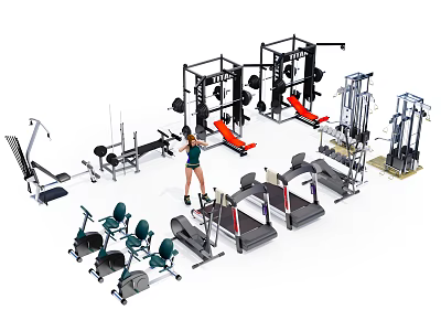 Comprehensive Sports Equipment Collection For Home Gym With Squat Racks Treadmills And Dumbbells 3d model