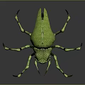Green Flying Grasshopper with Slender Legs Detailed Body Texture Transparent Wings on Gray Background